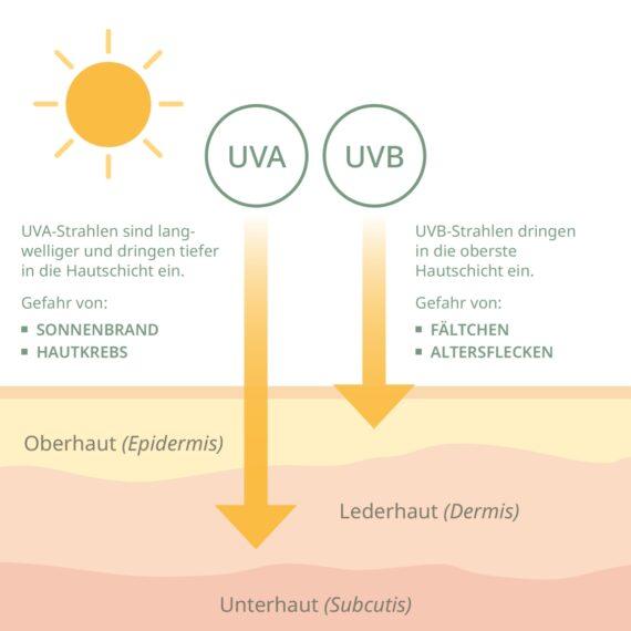 SeewaldOrtho BIO Sonnenschutz LSF 30 – Bild 2