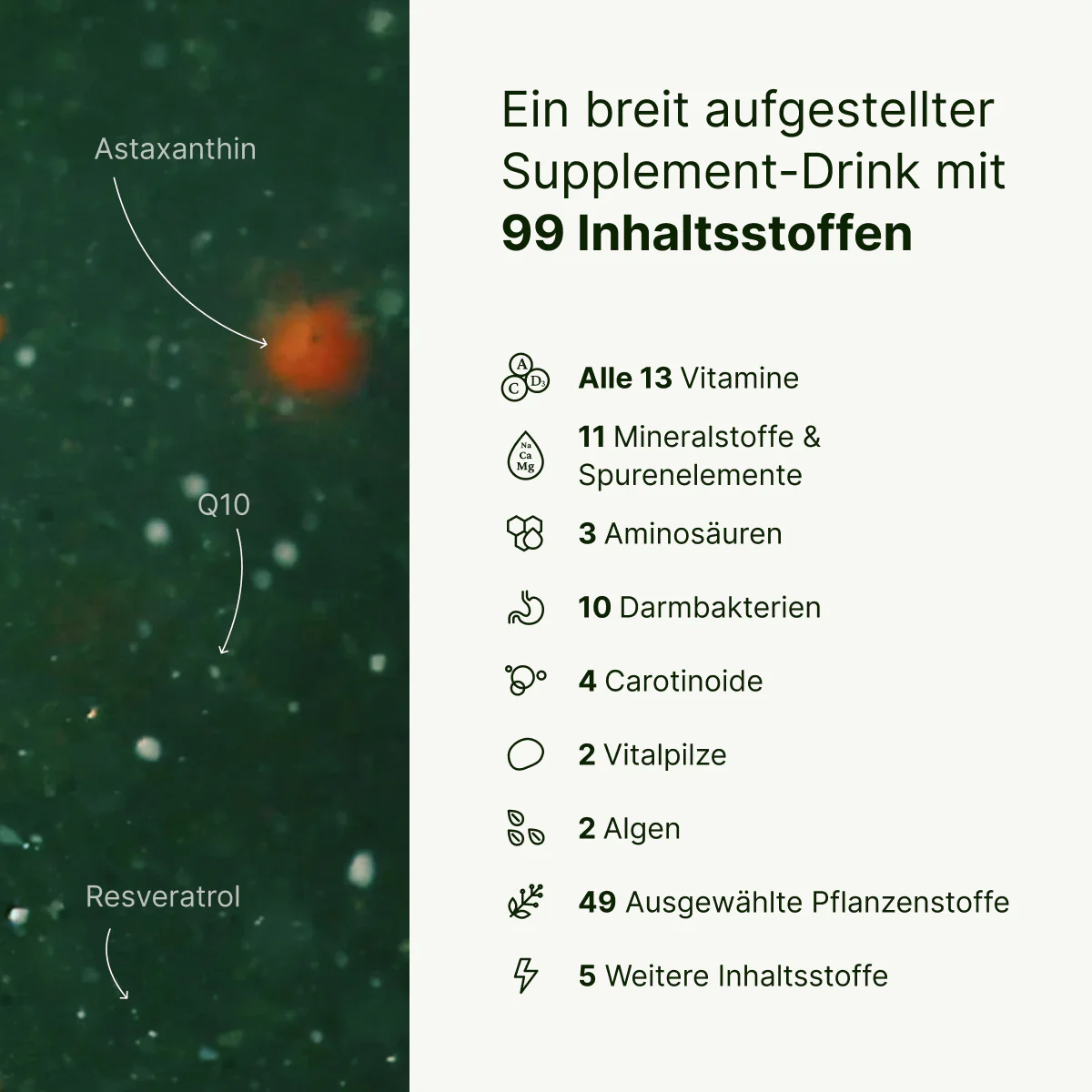 BIOGENA ONE Starterbundle – Bild 2